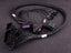 MaxxECU RACE adapterjuhtmestik Ford Focus RS 2010 (ME 9,0)