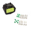 Pistik Econoseal 10-pin emane