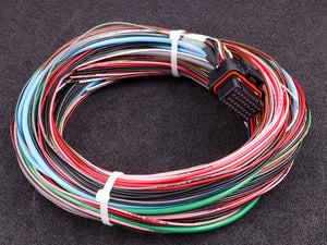 MaxxECU harness