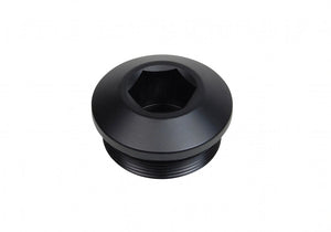 MM/NPT plug